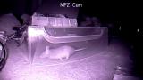 Embedded thumbnail for To Catch Some Mice Part 11 - KGB Sleeper Mouse vs The MPZ IR Mouse Trap