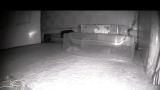 Embedded thumbnail for To Catch Some Mice Part 8 - Noisy Mouse vs The MPZ IR Mouse Trap