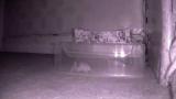 Embedded thumbnail for To Catch Some Mice Part 6 - Danger Mouse vs The MPZ IR Sentinel Mouse Trap