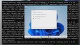 Embedded thumbnail for The Microsoft TPM Scam - Windows 11 Can Installed Without A TPM Into Qemu